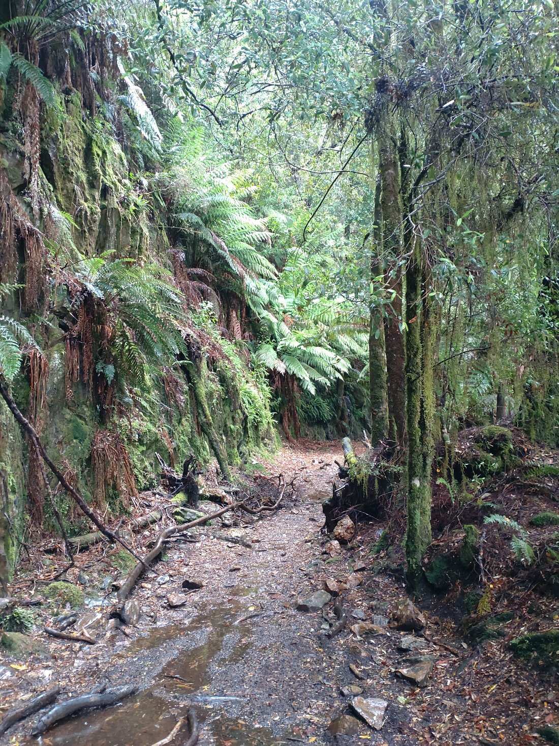 Montezuma Falls