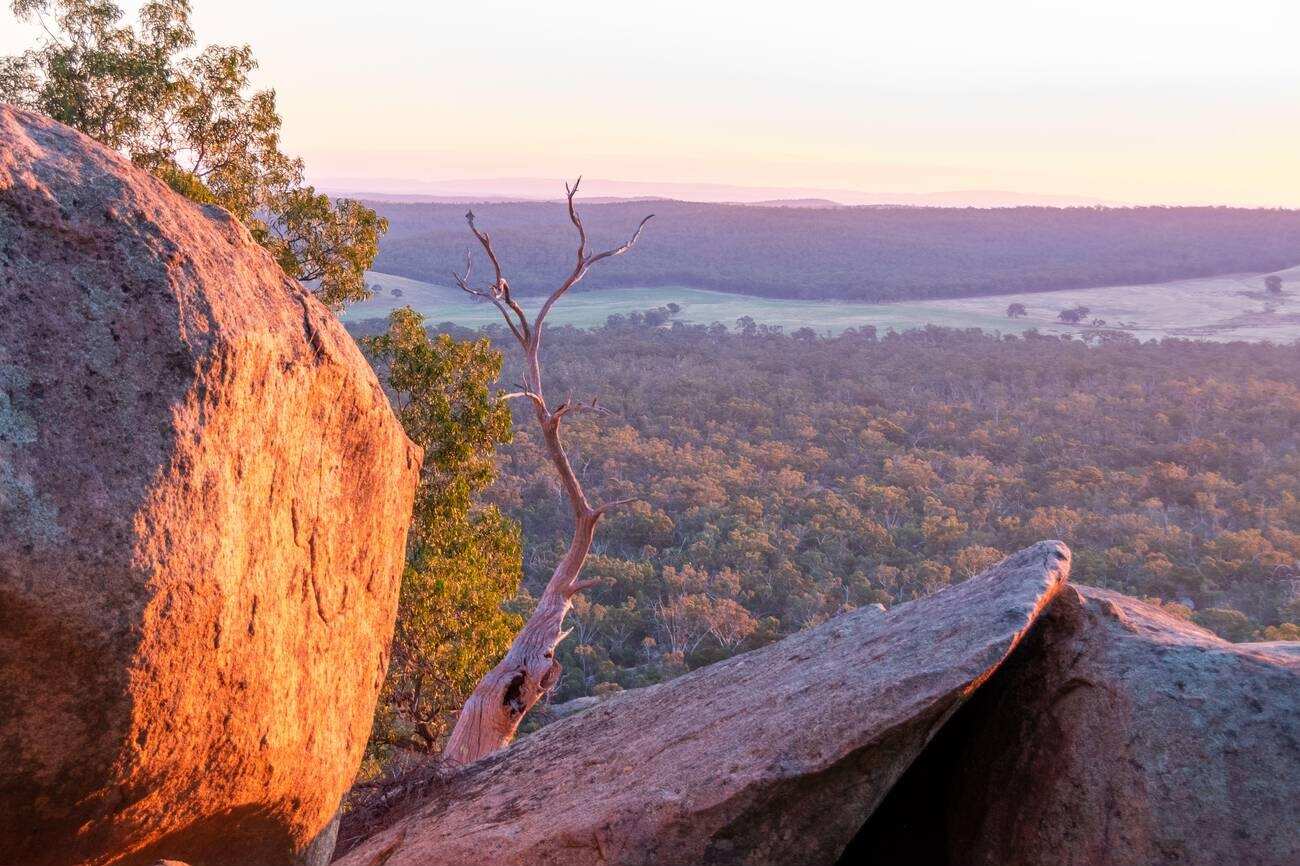 Kooyoora State Park