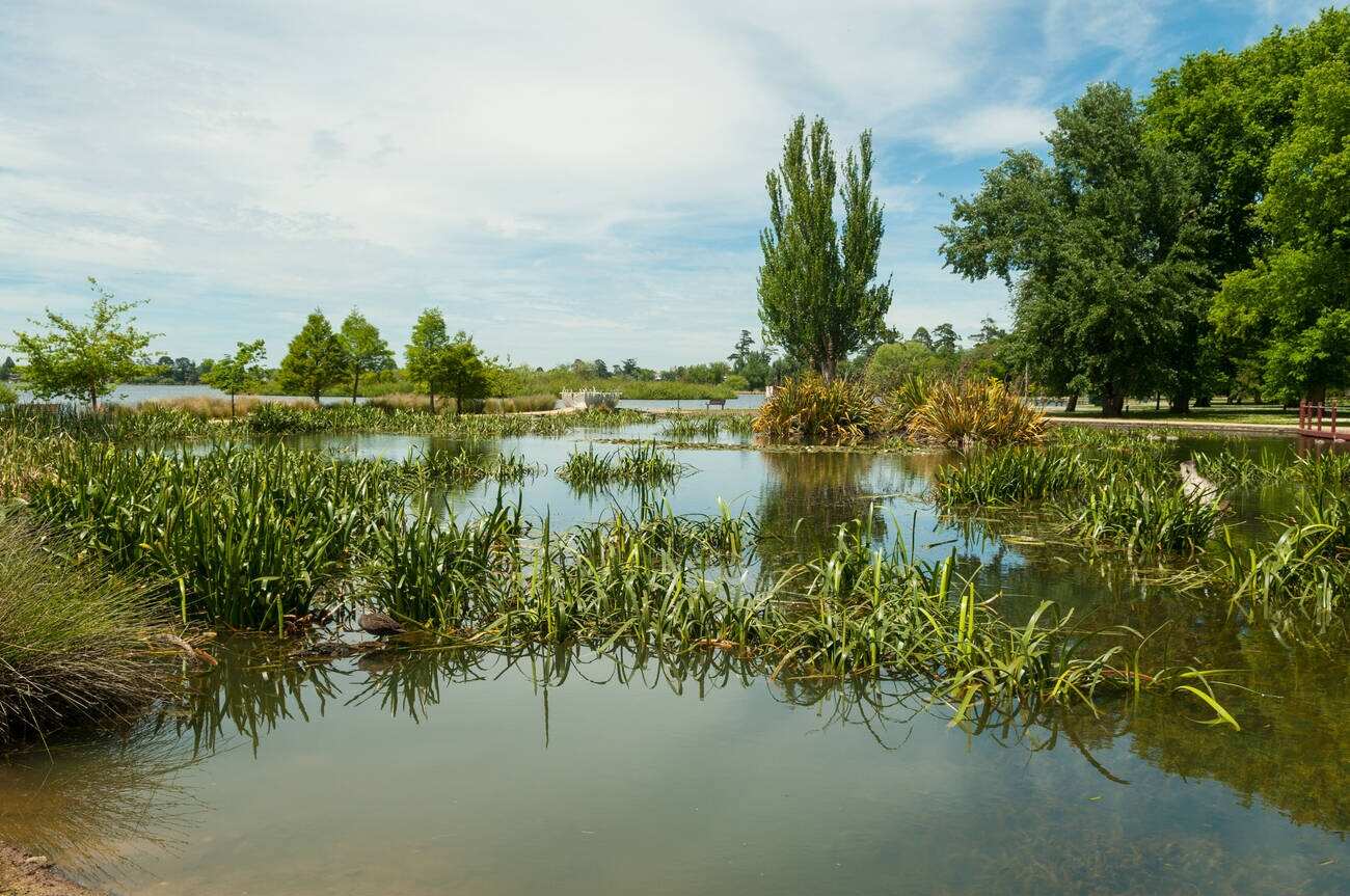 Lake Wendouree