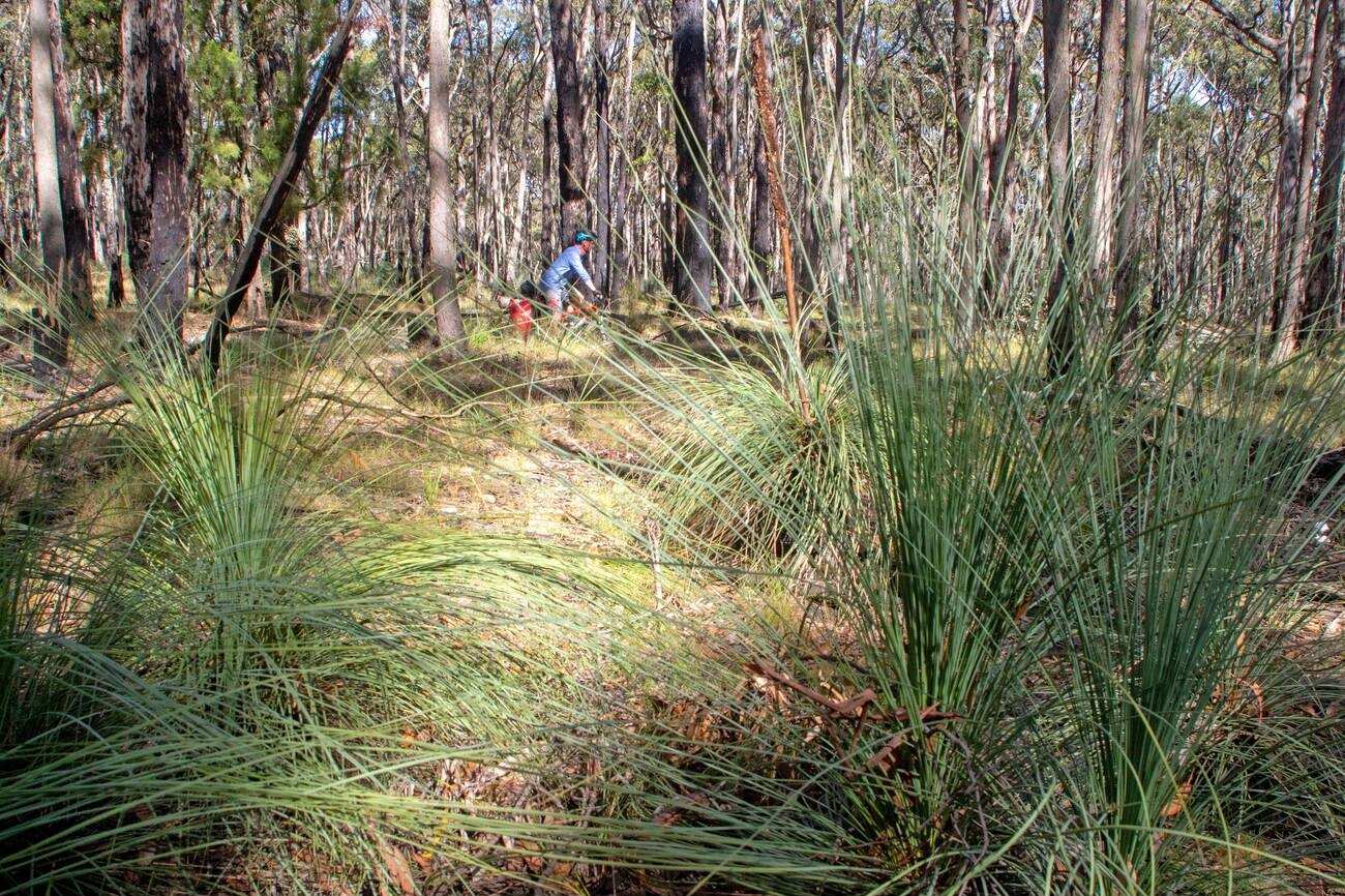 The Goldfields Track