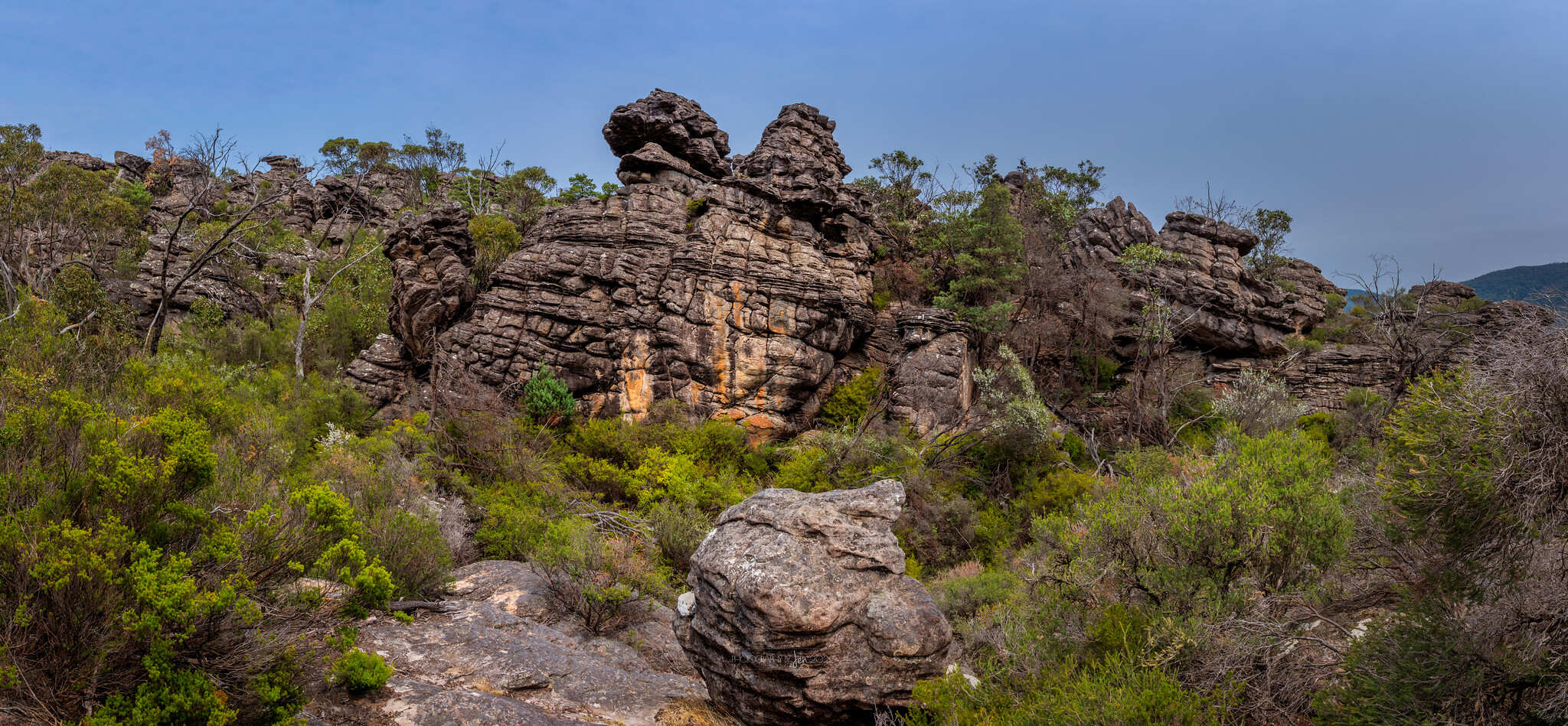 Pinnacle Lookout