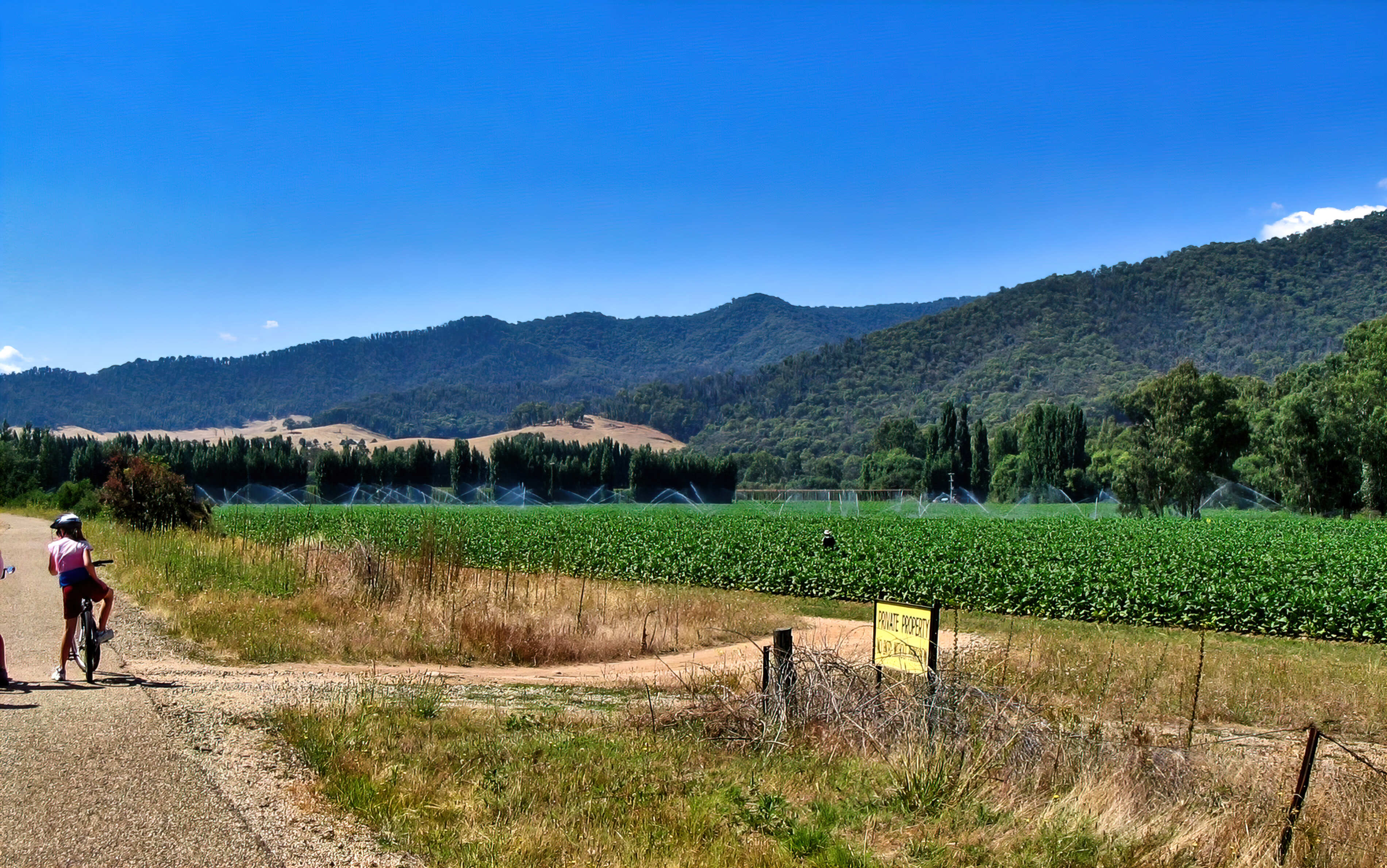 Murray to Mountains Rail Trail