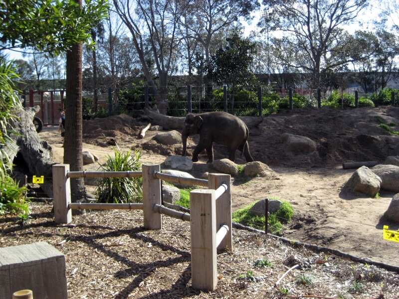 Melbourne Zoo
