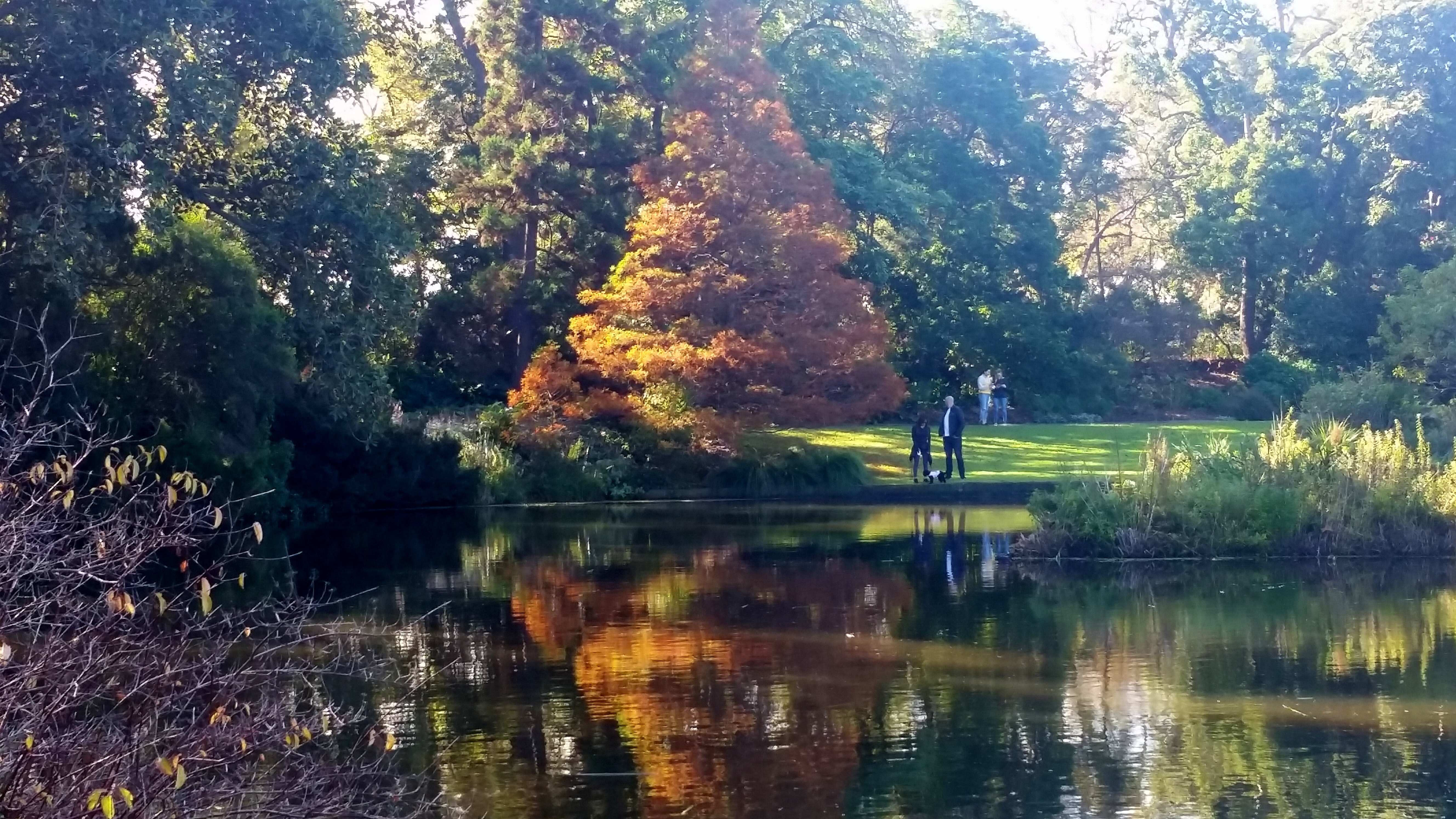Royal Botanic Gardens Victoria