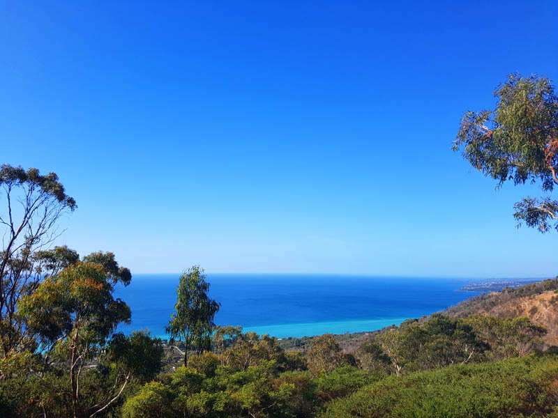 Arthurs Seat Eagle