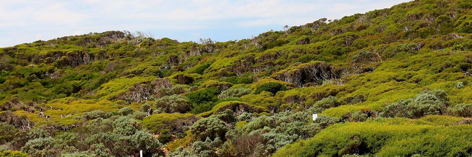 Mornington Peninsula National Park
