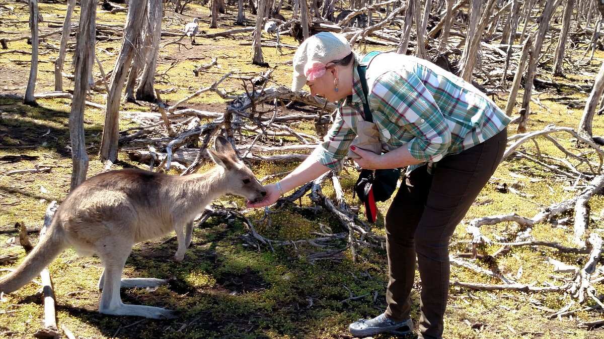 Phillip Island Wildlife Park