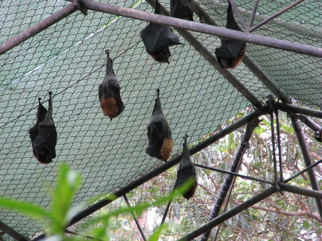 Healesville Sanctuary