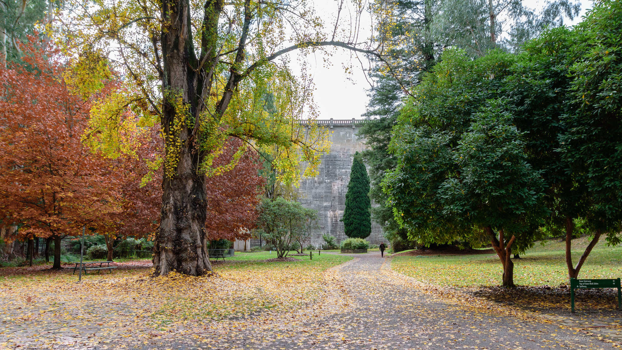 Maroondah Reservoir Park