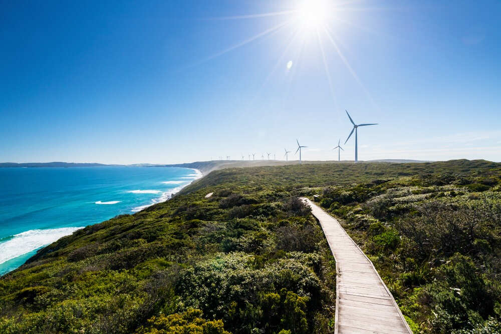 Albany Wind Farm