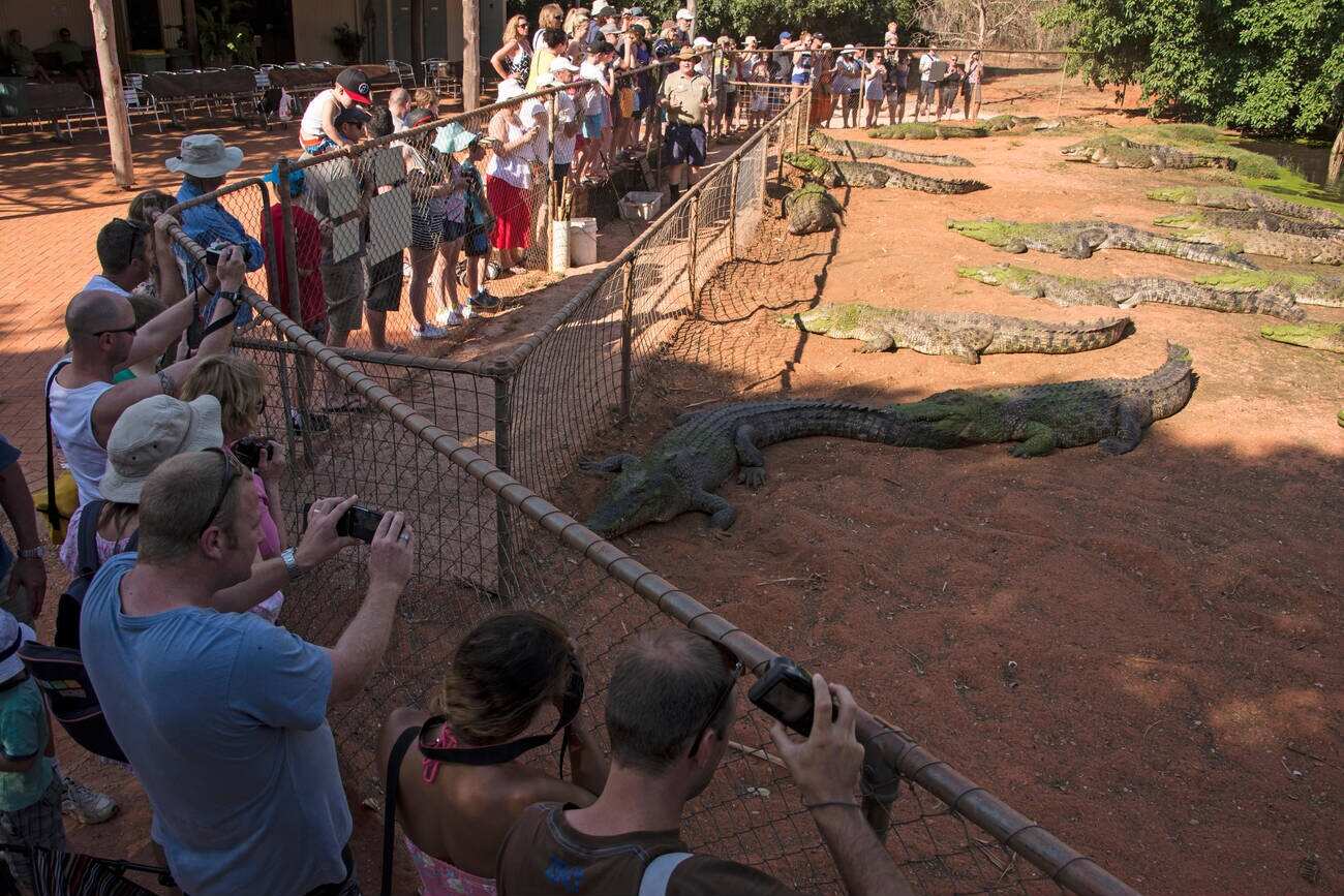 Malcolm Douglas Broome Crocodile Park