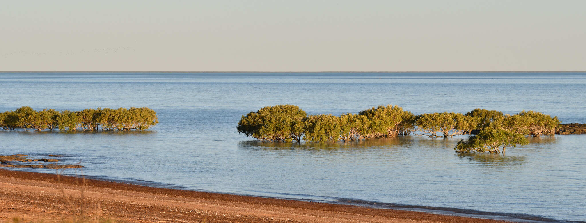 Broome Bird Observatory