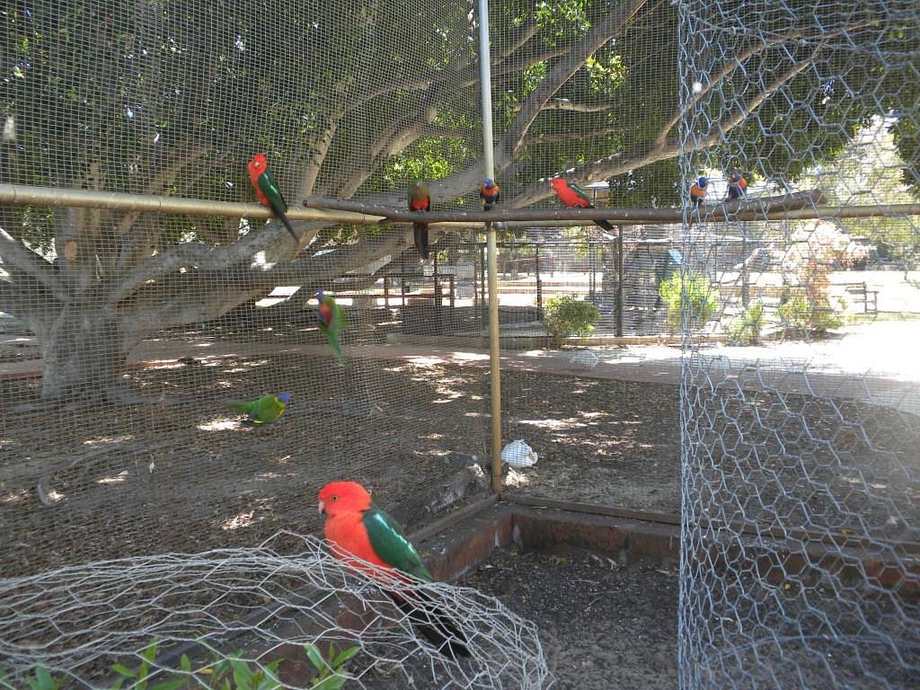 Bunbury Wildlife Park