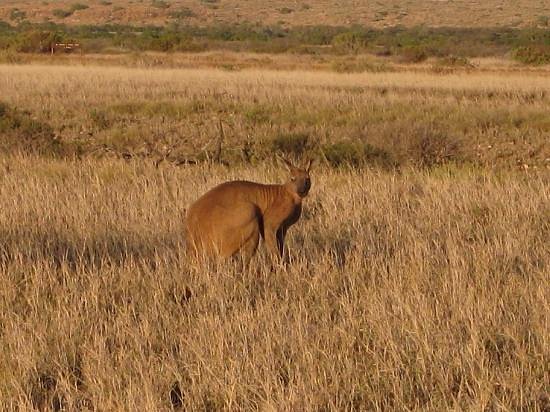 Cape Range National Park