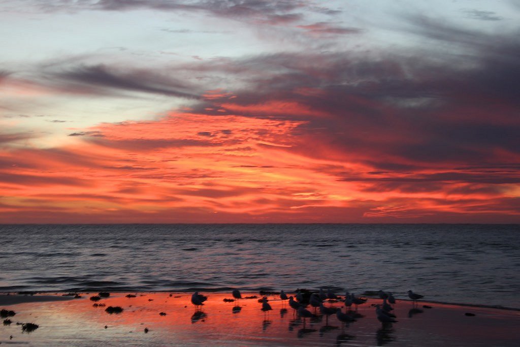 Ningaloo Reef