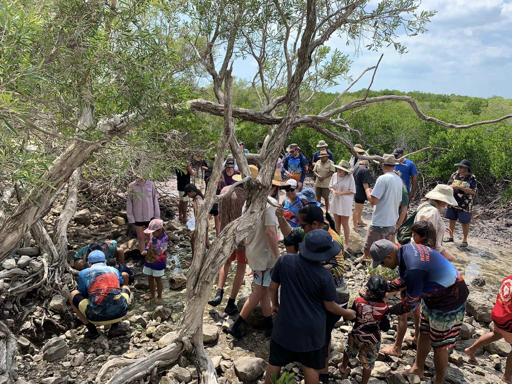 Southern Cross Cultural Tours