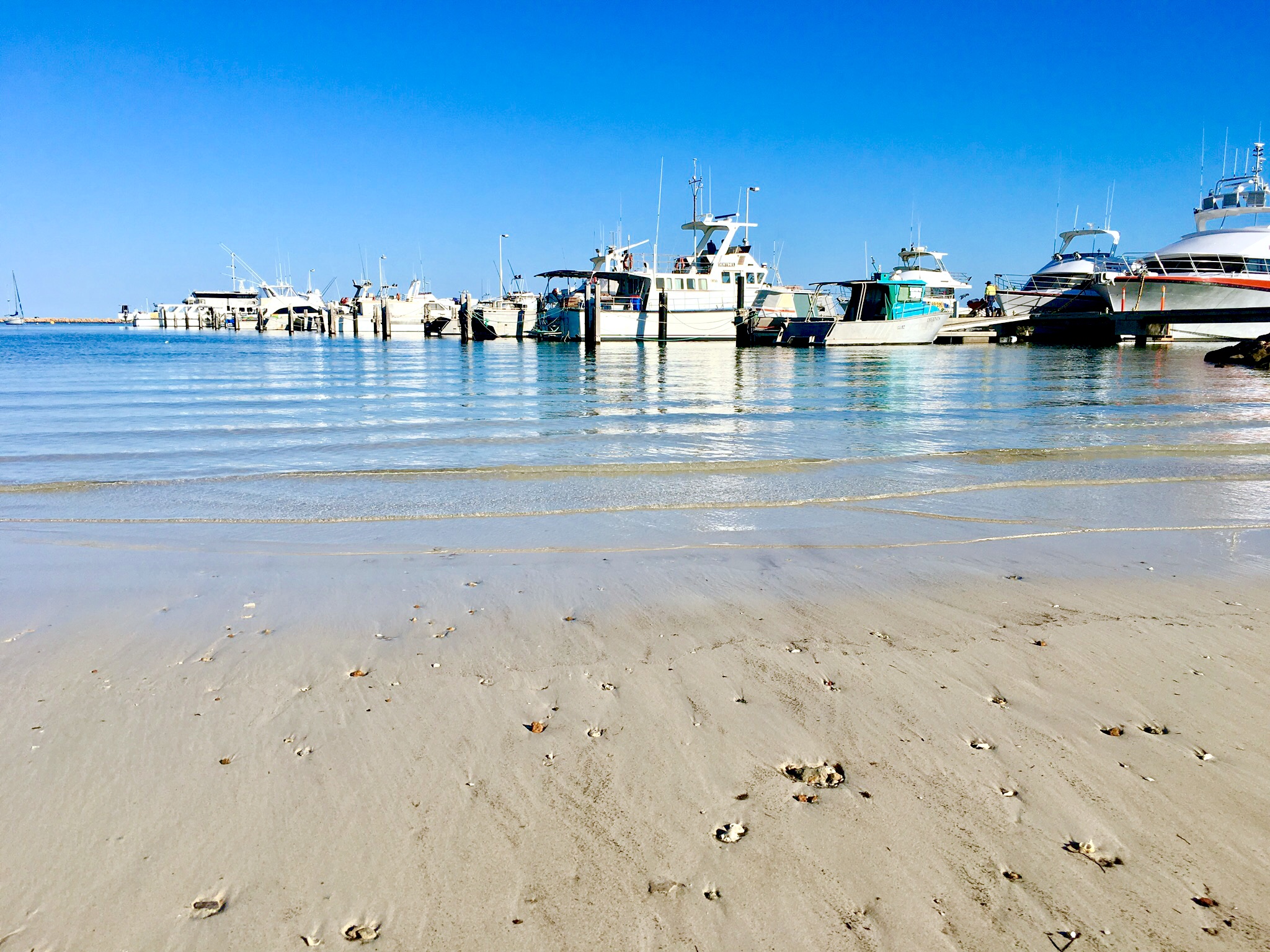 Port Denison Foreshore