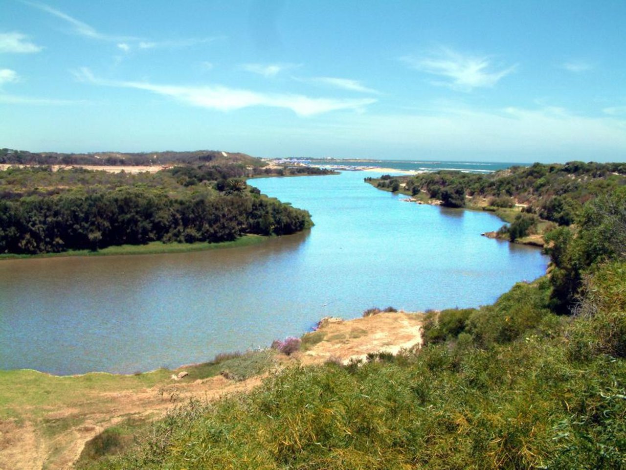 The Irwin River