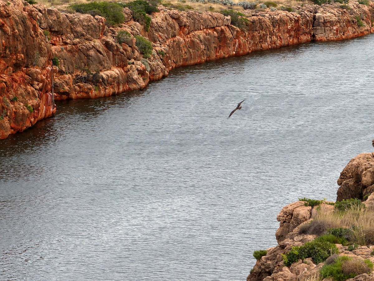 Yardie Creek