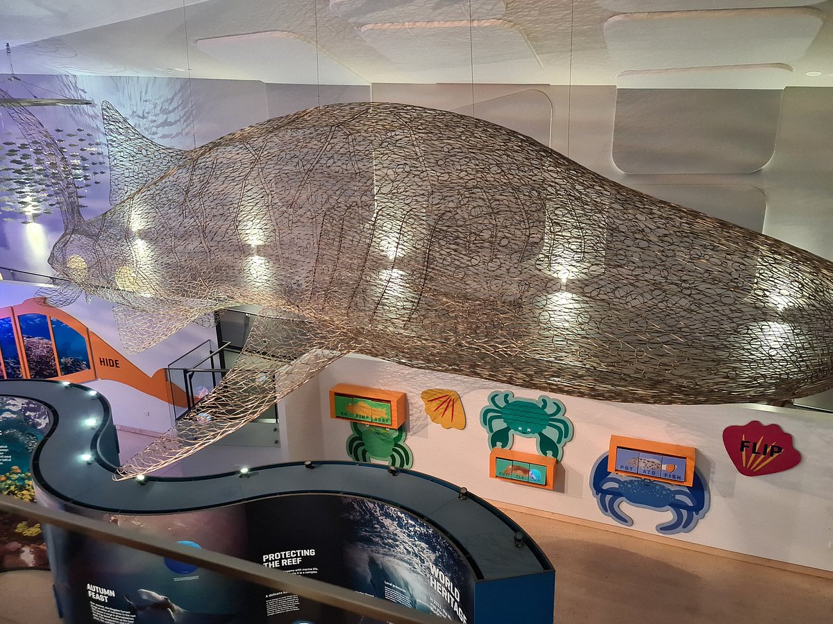 Ningaloo Centre Aquarium