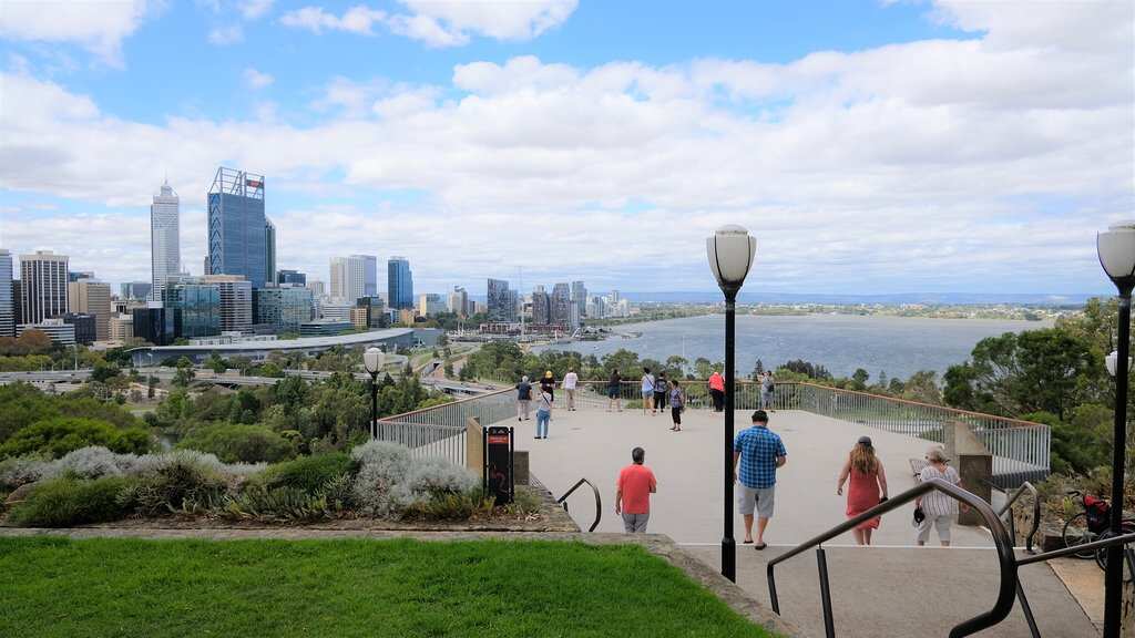 Fraser Avenue Lookout