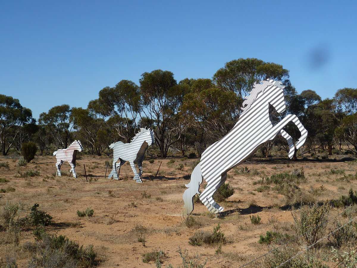 Tin Horse Highway
