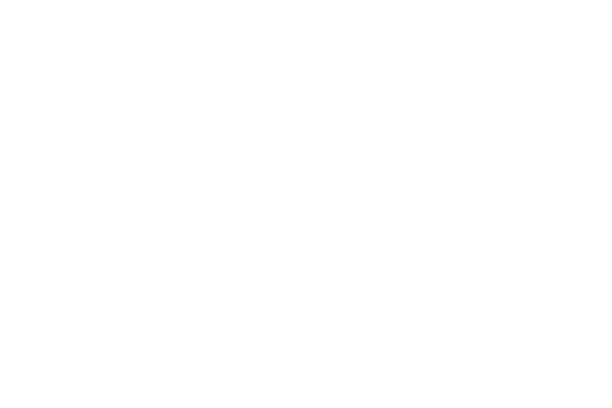 /associate/karen-smith