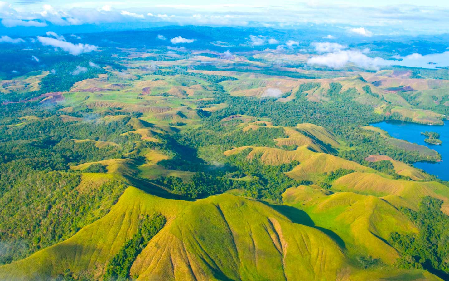 new-guinea