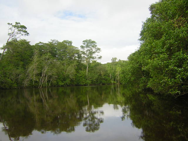 new-guinea