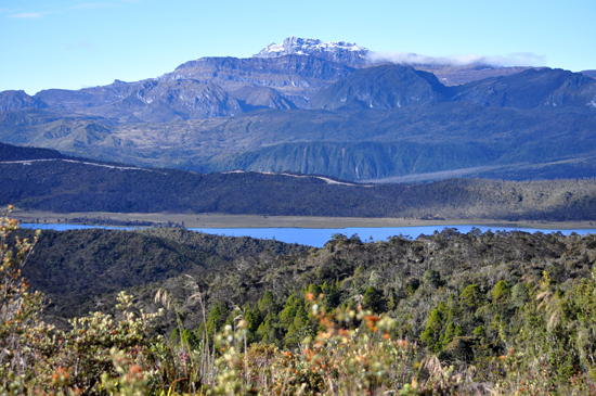 new-guinea