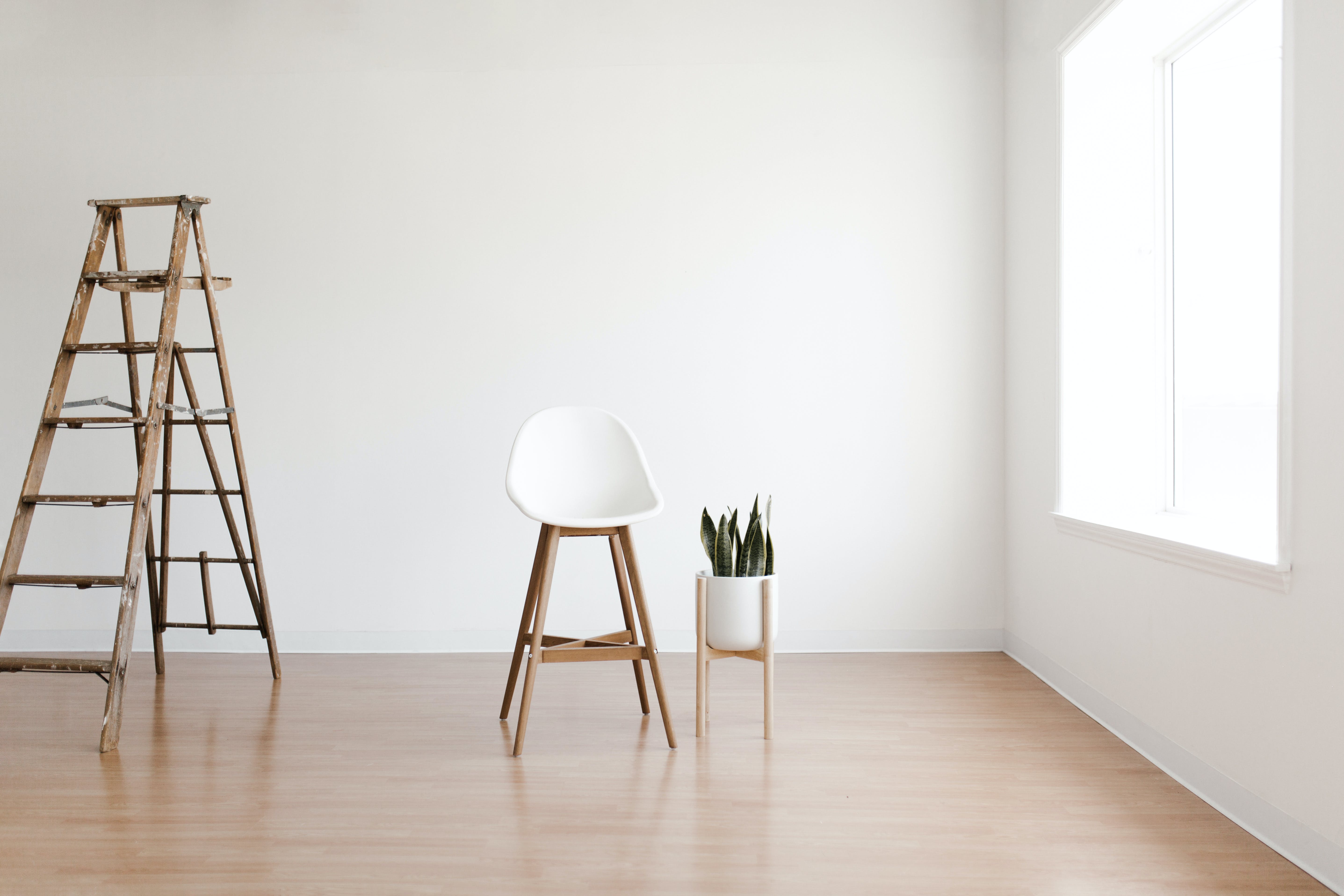 Minimalistic Design Trends for 2024: Simplicity and Style