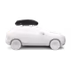 Μπαγκαζιέρα Οροφής THULE Force 3 M