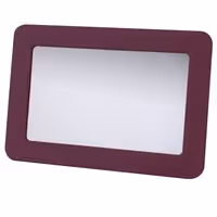 ΚΑΘΡΕΦΤΗΣ ΕΣΩΤΕΡΙΚΟΣ ΣΚΙΑΣΤΡΟΥ - ΜΠΟΡΝΤΩ