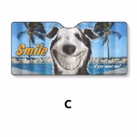 ΗΛΙΟΠΡΟΣΤΑΣΙΑ ΑΛΟΥΜΙΝΙΟΥ 145x70cm - C