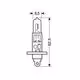 Λάμπα LAMPA H1 (12V 100W - P14.5s)