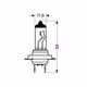 Λάμπα LAMPA H7 (12V 55W - PX26d)
