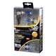 Λάμπες H7 LAMPA Xenium Race H.O.D Bonus-Pack (12V/100W/2300Lm)