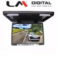 Monitor LM Digital MR ROOF 56