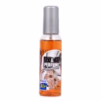 Αρωματικό Σπρέυ AirPerfume 75ml (Polar Wood)