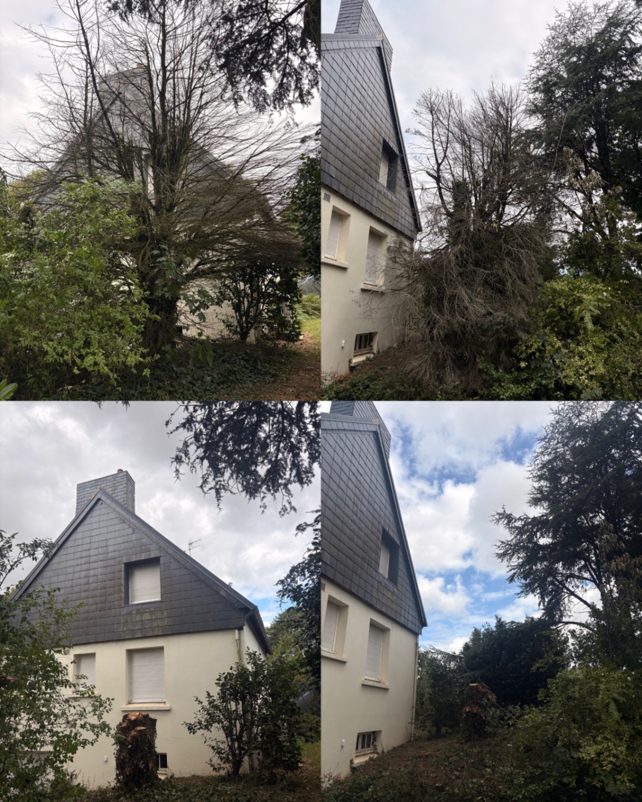 Réalisation 1