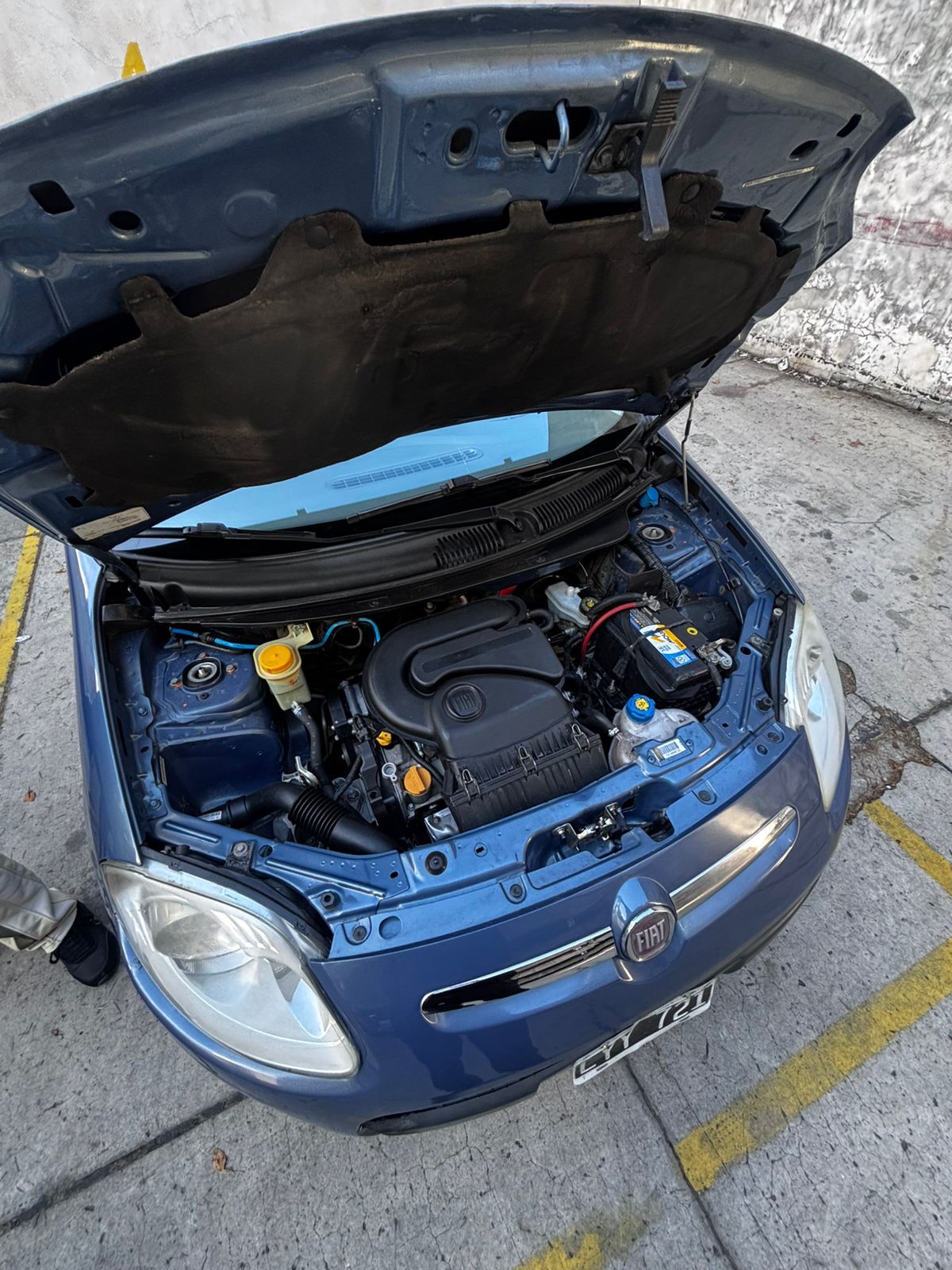 Miniatura 6