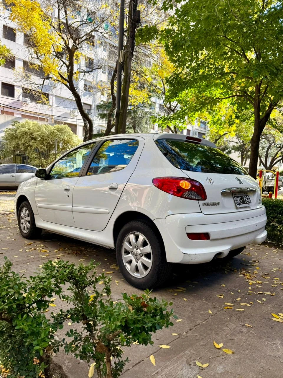 Miniatura 8