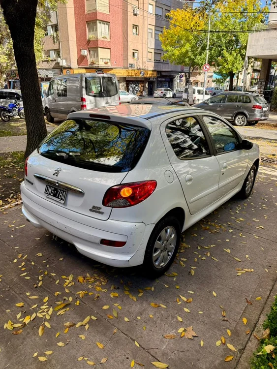 Miniatura 4