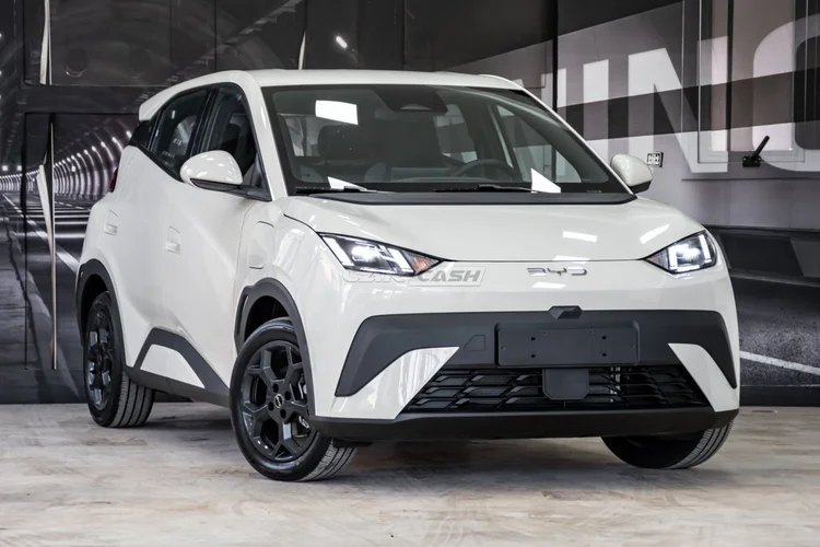2026 BYD Dolphin Mini