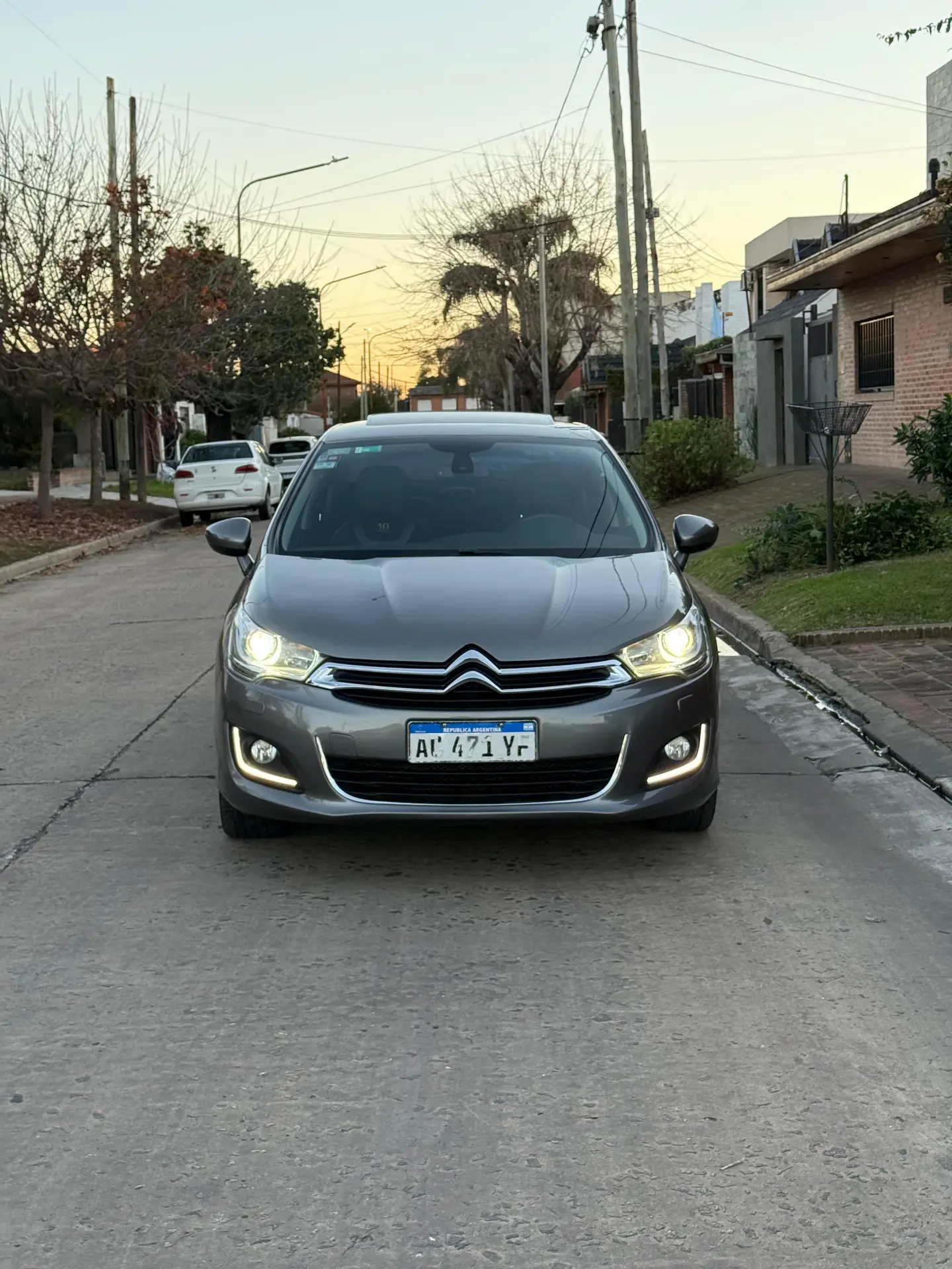 Miniatura 8