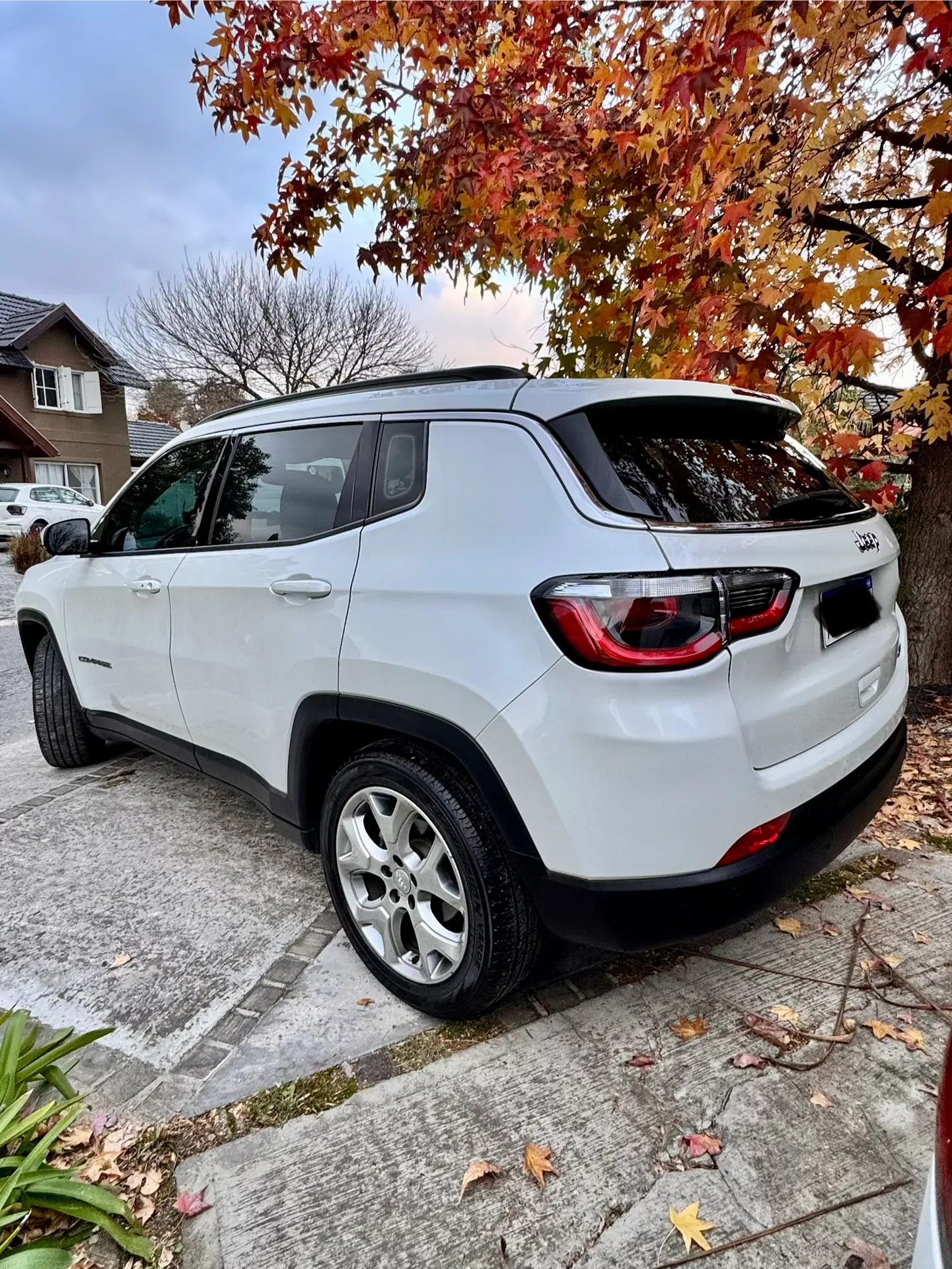 Miniatura 10
