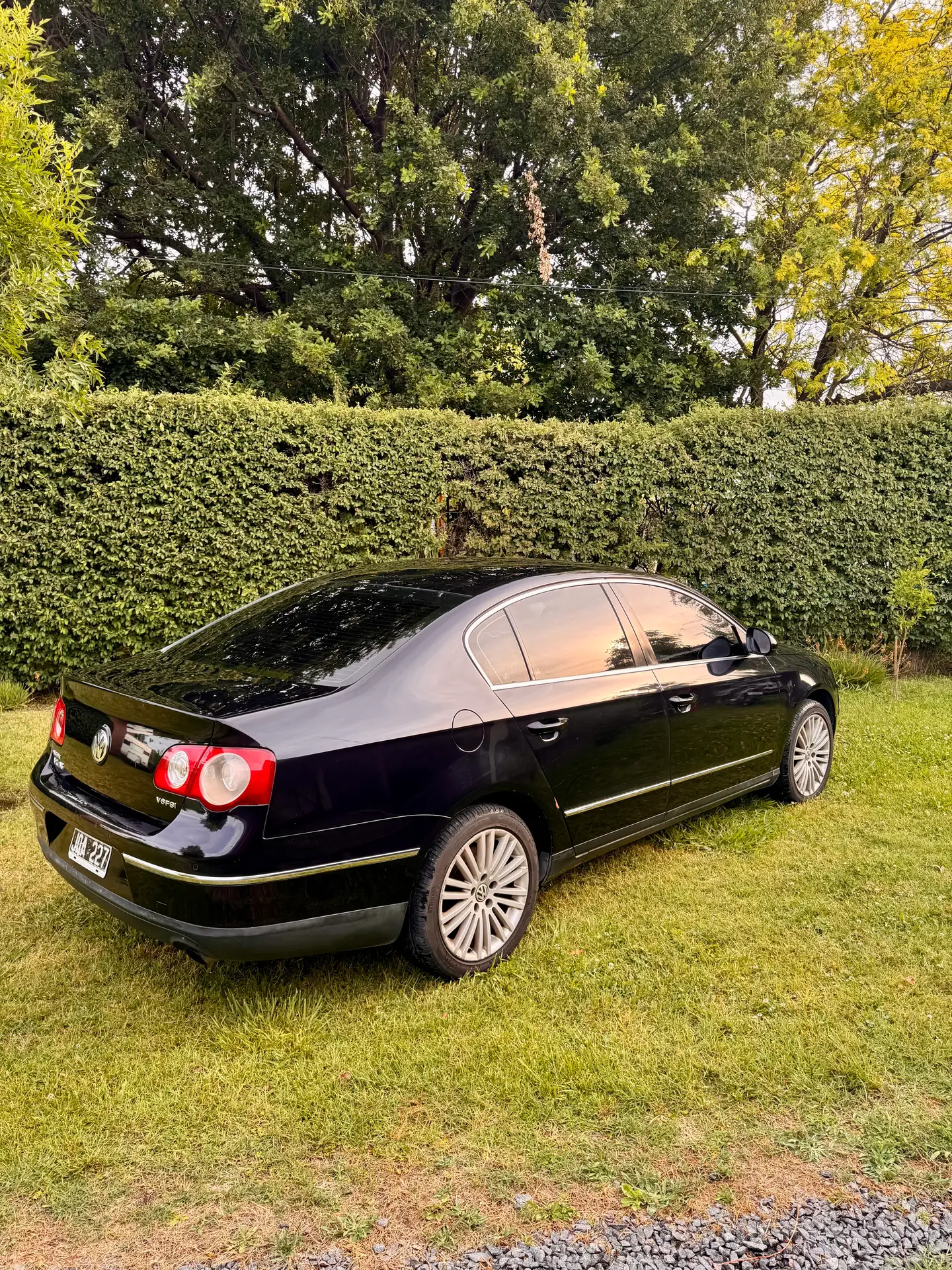 Miniatura 10