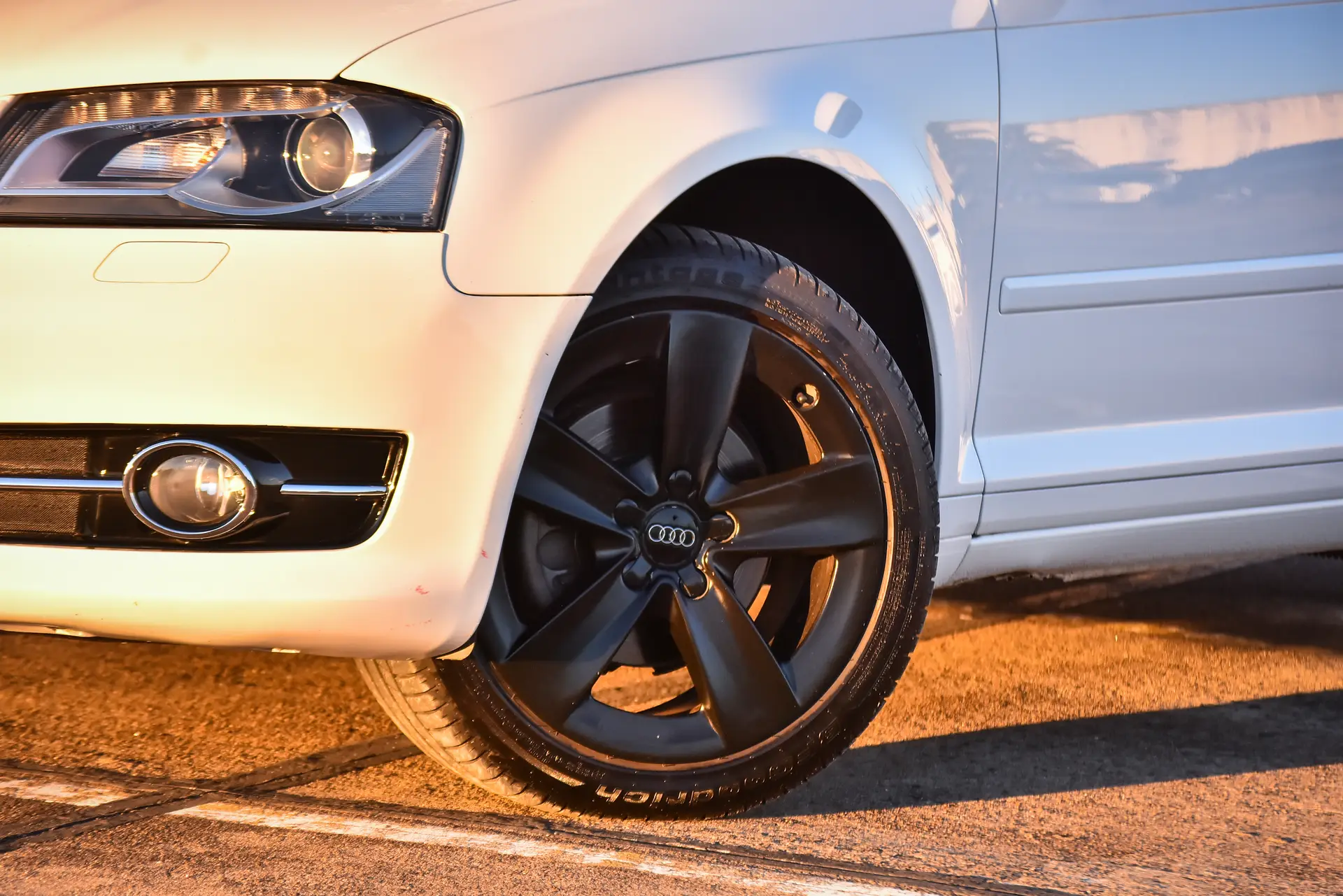 Miniatura 10