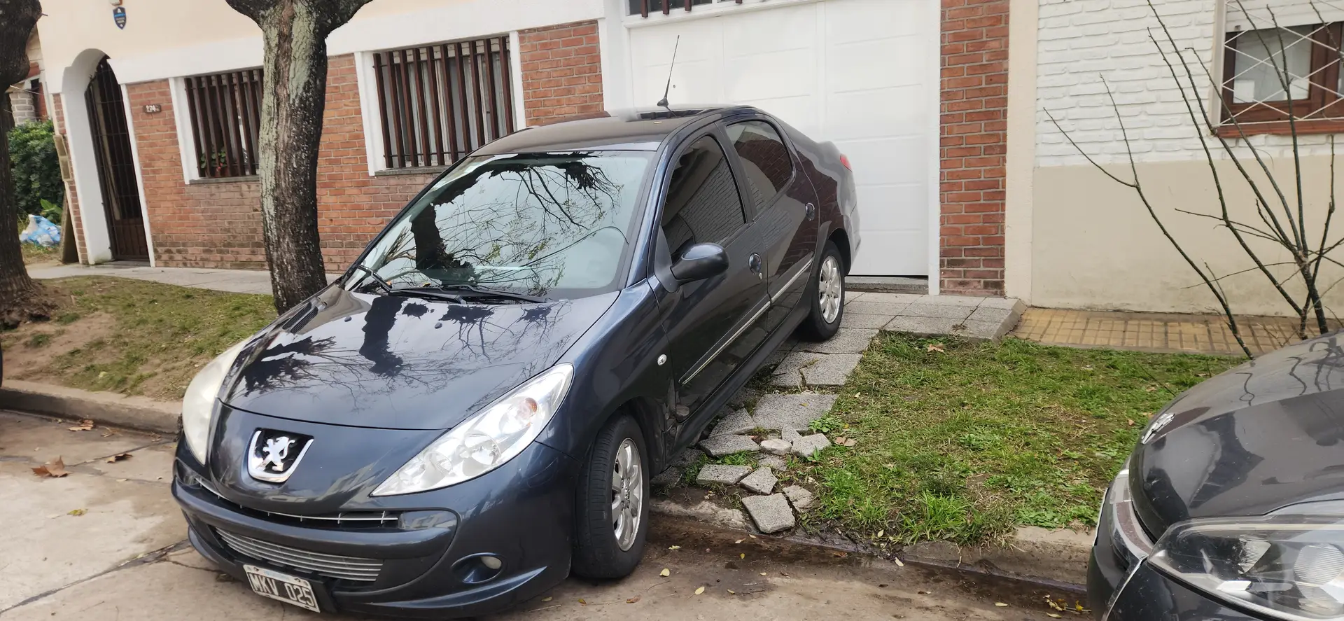 Miniatura 8