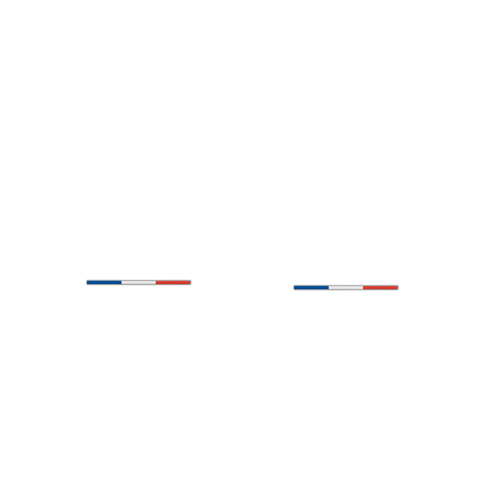 France Flag (Horizontal)